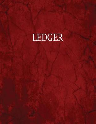 Book cover for Ledger