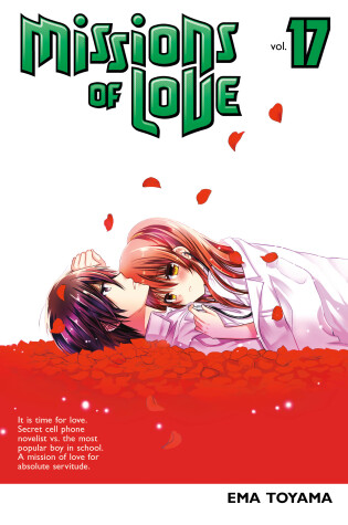 Cover of Missions Of Love 17