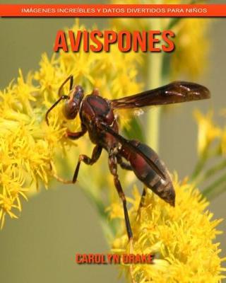 Book cover for Avispones