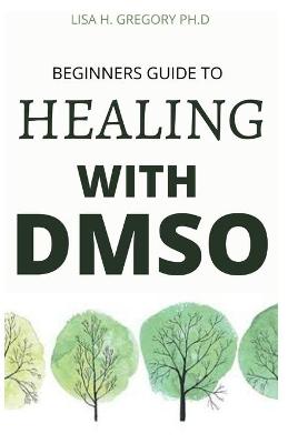 Book cover for Beginners Guide to Healing with Dmso