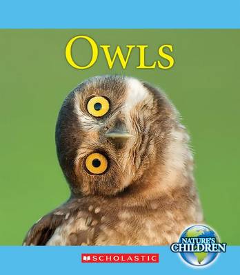 Book cover for Owls