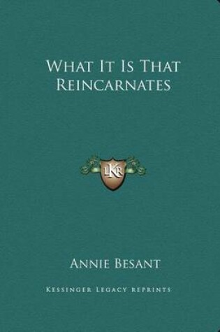 Cover of What It Is That Reincarnates