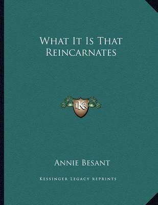 Book cover for What It Is That Reincarnates