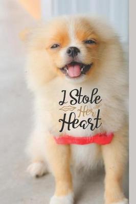Book cover for I Stole Her Heart