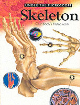 Book cover for Skeleton
