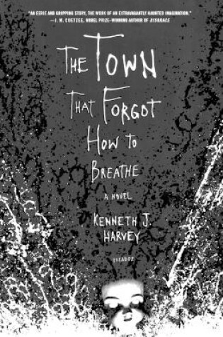 Cover of The Town That Forgot How to Breathe