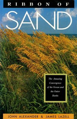 Book cover for Ribbon of Sand