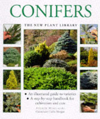 Book cover for Conifers