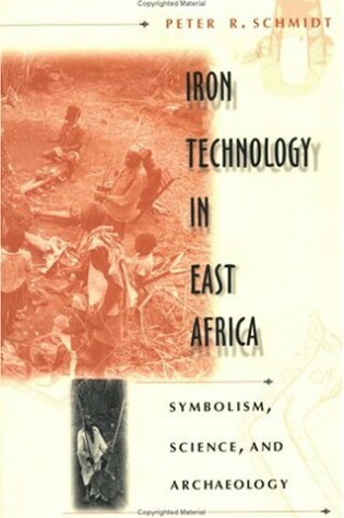 Cover of Iron Technology in East Africa