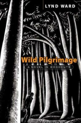 Cover of Wild Pilgrimage