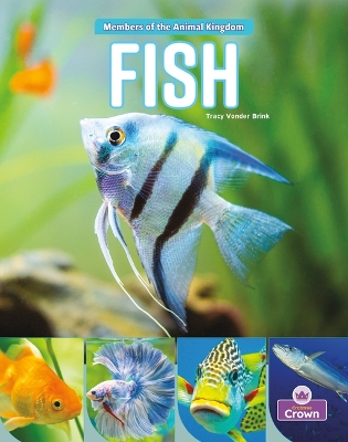 Book cover for Fish