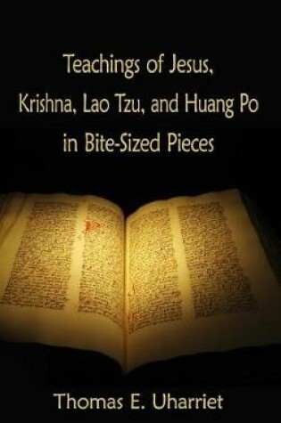 Cover of Teachings of Jesus, Krishna, Lao Tzu, and Huang Po in Bite-Sized Pieces