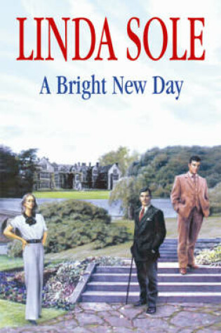 Cover of A Bright New Day