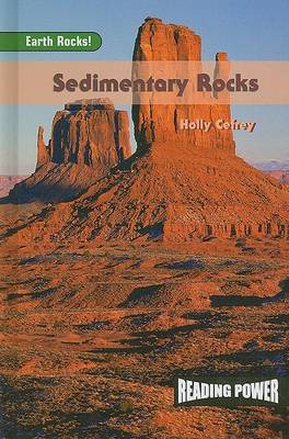 Book cover for Sedimentary Rocks