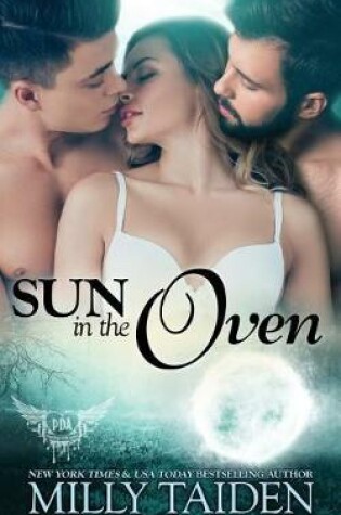 Cover of Sun in the Oven