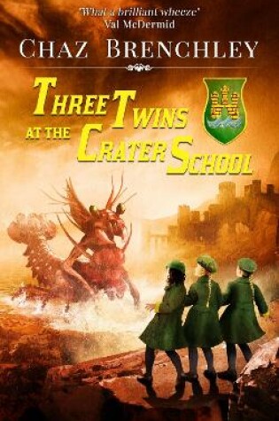 Cover of Three Twins at the Crater School