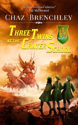 Book cover for Three Twins at the Crater School