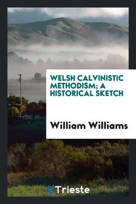 Book cover for Welsh Calvinistic Methodism; A Historical Sketch