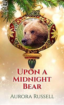 Book cover for Upon a Midnight Bear