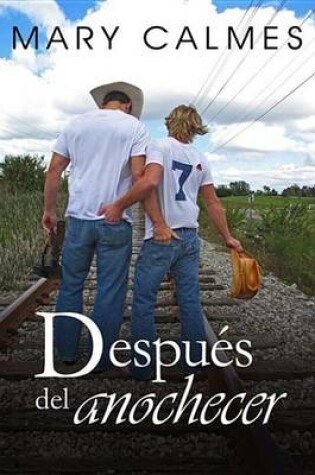 Cover of Despues del Anochecer
