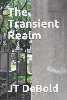 Book cover for The Transient Realm