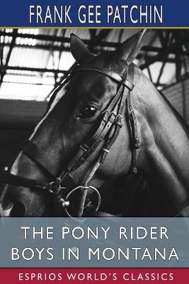 Book cover for The Pony Rider Boys in Montana (Esprios Classics)