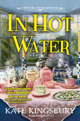 Cover of In Hot Water