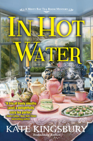 Book cover for In Hot Water