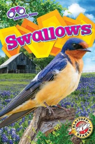 Cover of Swallows