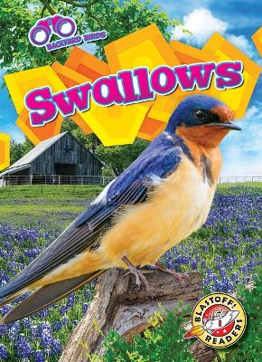 Cover of Swallows