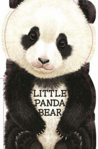 Cover of Little Panda Bear
