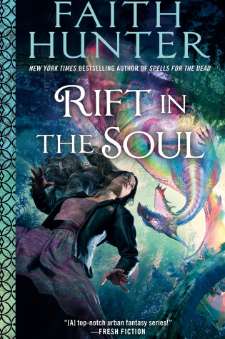 Cover of Rift In The Soul
