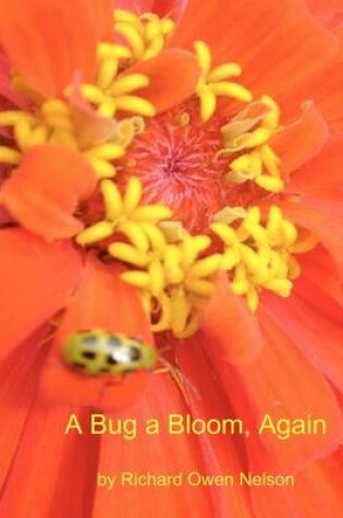 Cover of A Bug A Bloom, Again