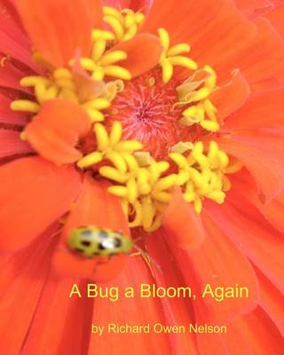 Book cover for A Bug A Bloom, Again