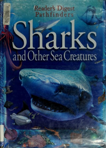 Cover of Sharks and Other Sea Creatures