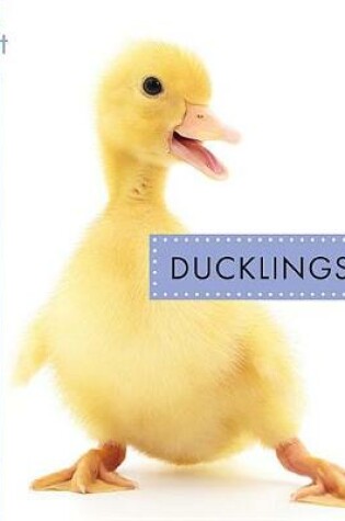 Cover of Ducklings