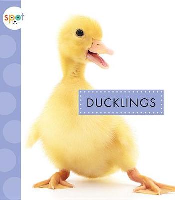 Book cover for Ducklings