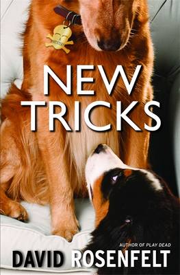 Book cover for New Tricks