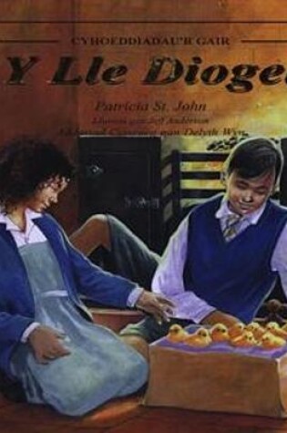 Cover of Lle Diogel, Y