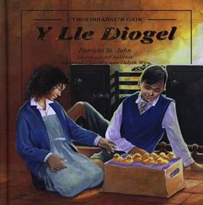 Book cover for Lle Diogel, Y