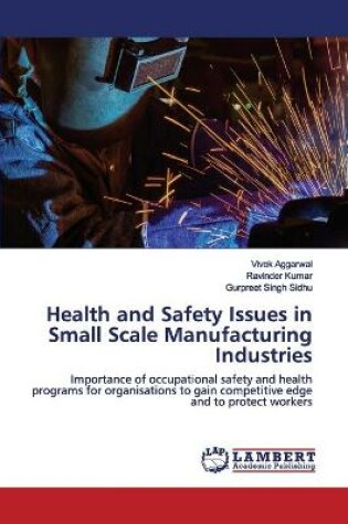 Cover of Health and Safety Issues in Small Scale Manufacturing Industries