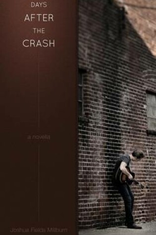 Cover of Days After the Crash