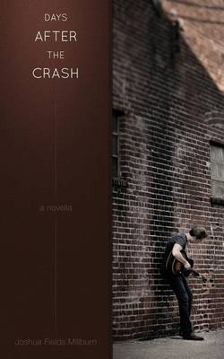 Book cover for Days After the Crash