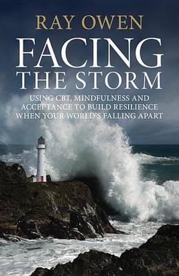 Cover of Facing the Storm