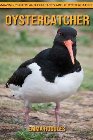 Cover of Oystercatcher