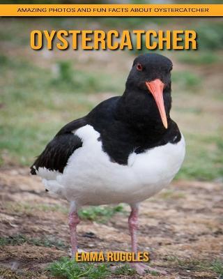 Book cover for Oystercatcher