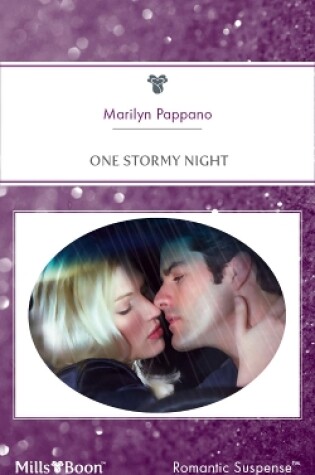 Cover of One Stormy Night