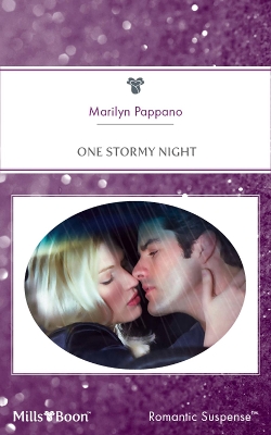 Book cover for One Stormy Night