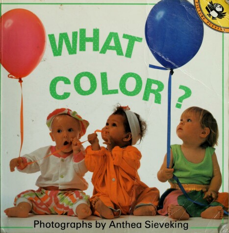 Book cover for What Color?