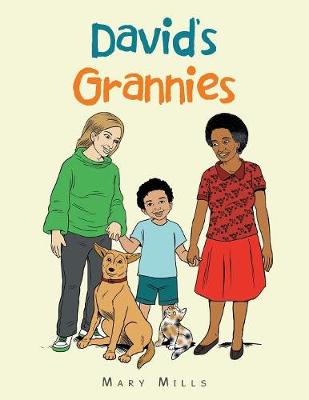 Book cover for David's Grannies